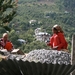 Kalpa stenen kleiner kloppen
