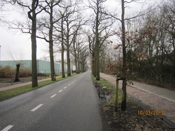 Schoten Zeurt 10-3-2013 004