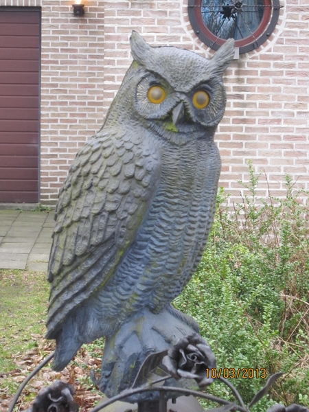 Schoten Zeurt 10-3-2013 006