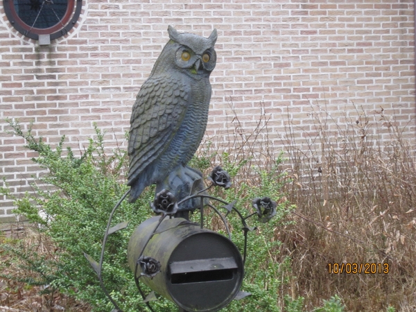 Schoten Zeurt 10-3-2013 007