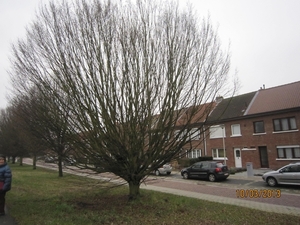 Schoten Zeurt 10-3-2013 014