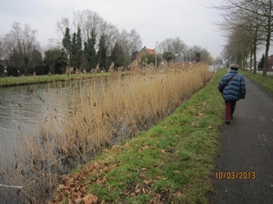 Schoten Zeurt 10-3-2013 023