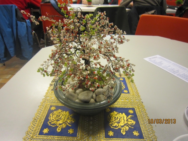 Schoten Zeurt 10-3-2013 034