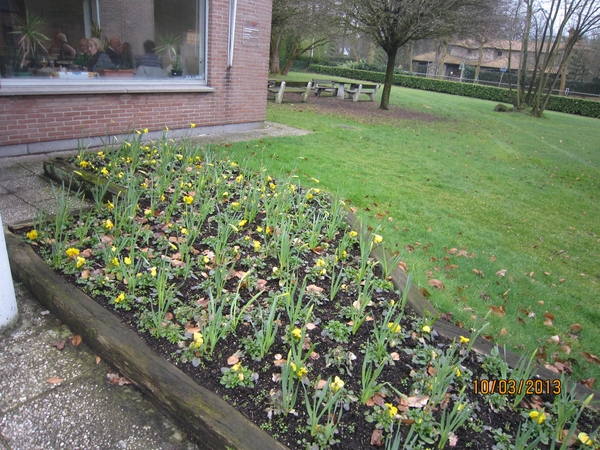 Schoten Zeurt 10-3-2013 036