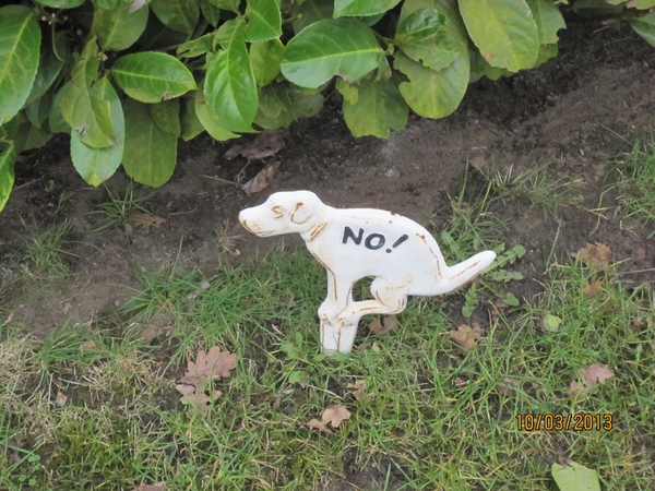 Schoten Zeurt 10-3-2013 054