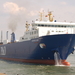 european trader