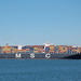 msc laurence