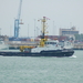 zeehond