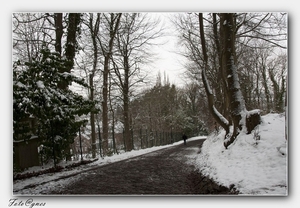 De muur van Geraardsbergen  Op de Oudenberg  19 januari sneeuw wa