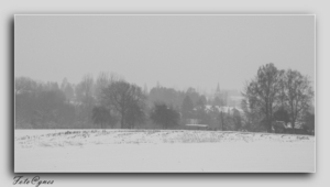 wandeling naar Everbeek boven in de sneeuw 20 jan.-33