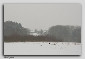 wandeling naar Everbeek boven in de sneeuw 20 jan.-35