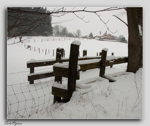 wandeling naar Everbeek boven in de sneeuw 20 jan.-69
