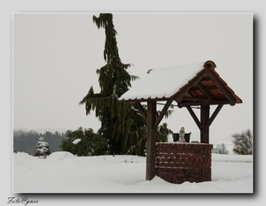 Waterput  wandeling naar Everbeek boven in de sneeuw 20 jan.-37