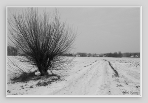 Zicht op Geraardsbergen-62