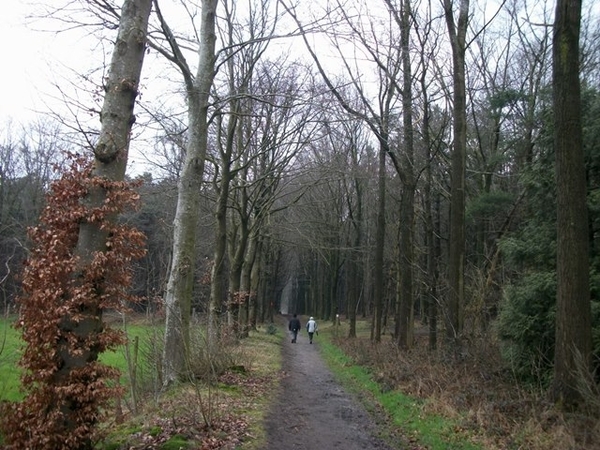 31-Hooggoedbossen-Aalter