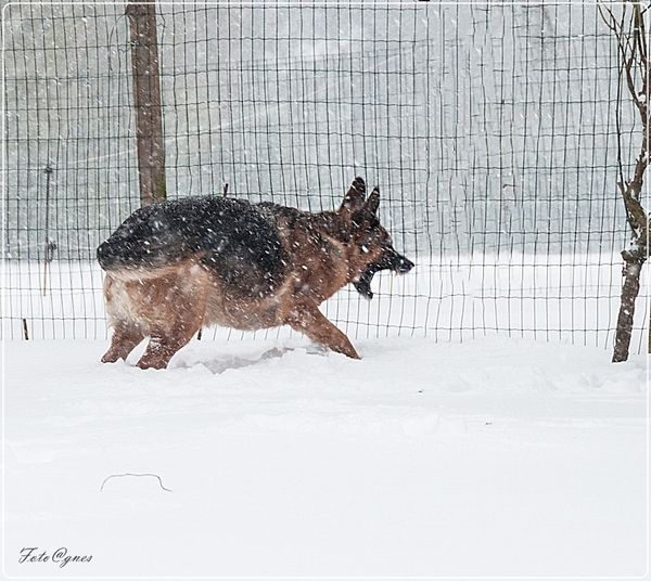 in de sneeuw 12 maart-40