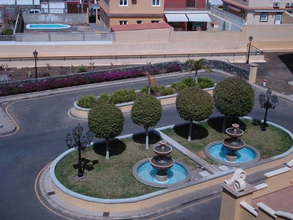 palm oases 2012 018