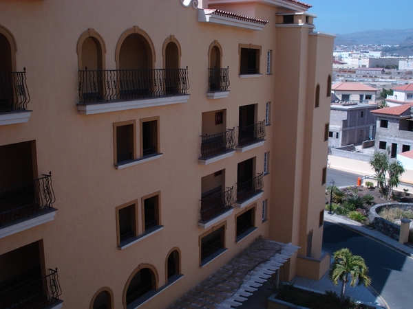 palm oases 2012 019
