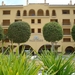 palm oases 2012 057