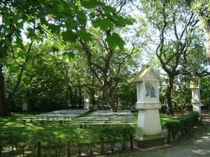 DSC00888
