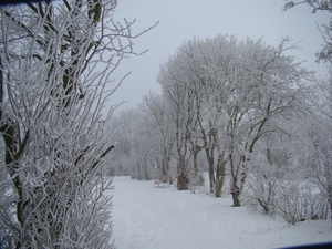 Park Parklaan