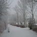 DSC01436