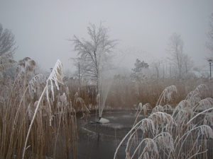 DSC01437