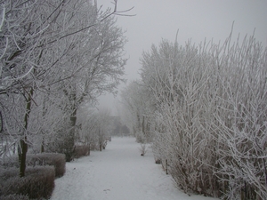 DSC01438