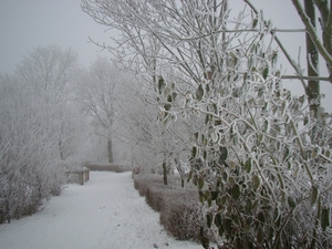 DSC01439