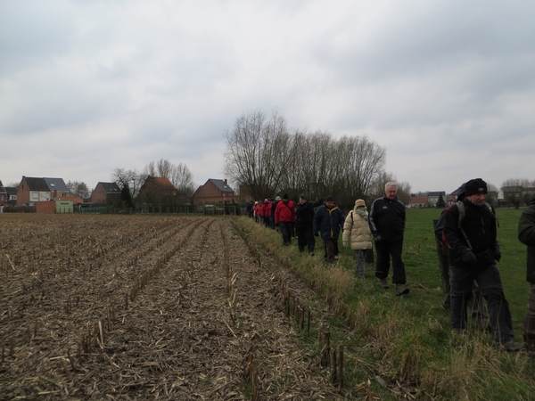 2013-03-11 Wieze 004