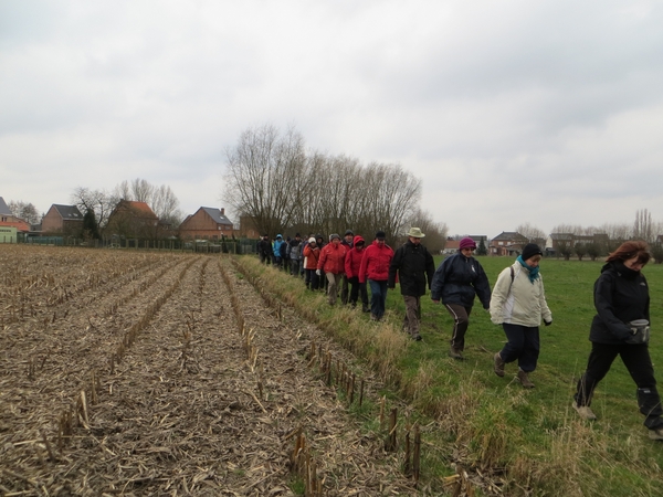 2013-03-11 Wieze 006