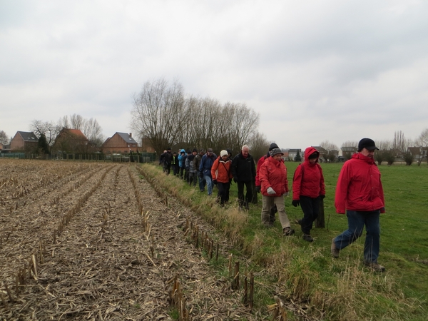 2013-03-11 Wieze 007