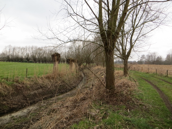 2013-03-11 Wieze 008