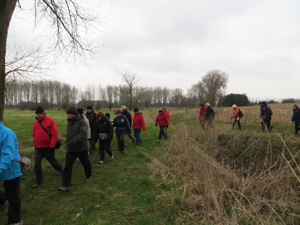 2013-03-11 Wieze 009