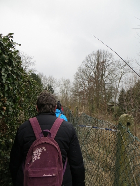 2013-03-11 Wieze 010