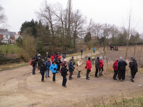 2013-03-11 Wieze 011