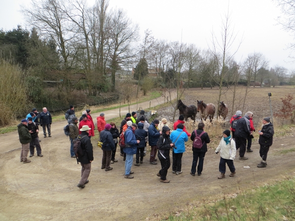 2013-03-11 Wieze 012