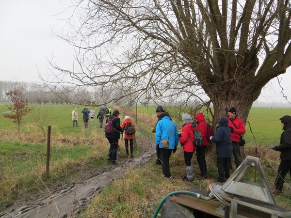 2013-03-11 Wieze 015