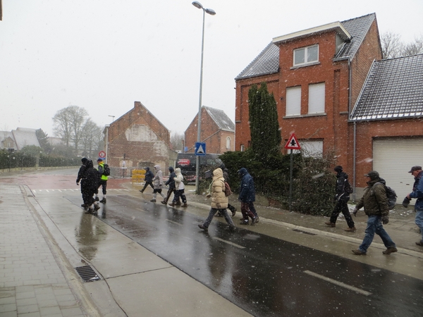 2013-03-11 Wieze 019