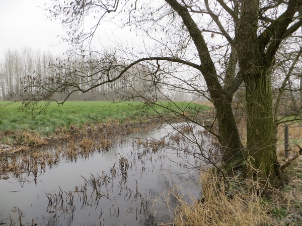 2013-03-11 Wieze 017