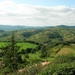 Oingt