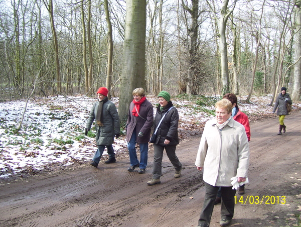 14 maart 2013 - Wandeling naar Bonheiden