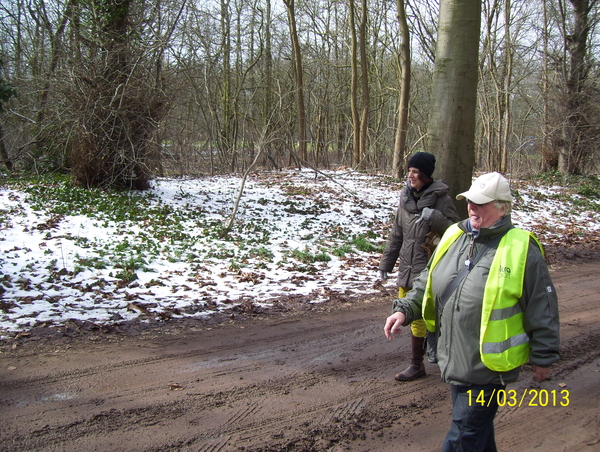 14 maart 2013 - Wandeling naar Bonheiden