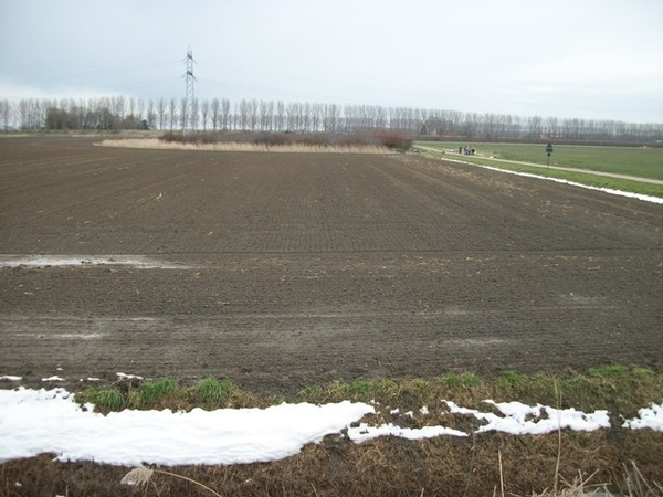 019-Wandelen door de polders rondom Philippine..