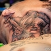 Urban Ink Fest 2013-9905