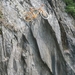 trier 20120725 (9)