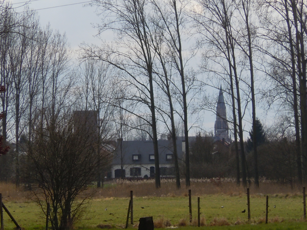 DSCN1896