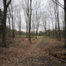 Wandelen Turnhout 17-3-2013 004
