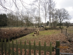 Wandelen Turnhout 17-3-2013 005