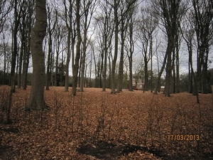 Wandelen Turnhout 17-3-2013 013